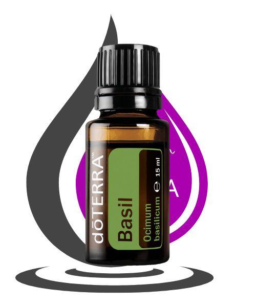 Basilic basil doterra